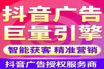 竞价广告的投放策略与效果评估——以一成功企业为例
